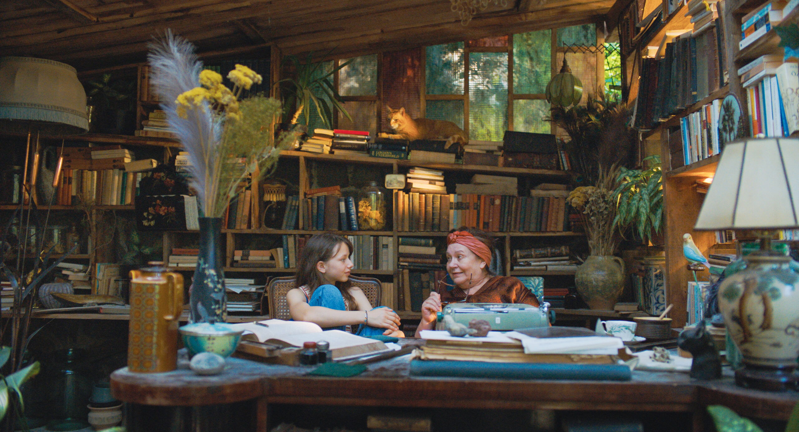 Szenenbild zu I Accidentally Wrote a Book -  Der Sommer, als (m)ich meine Geschichte fand