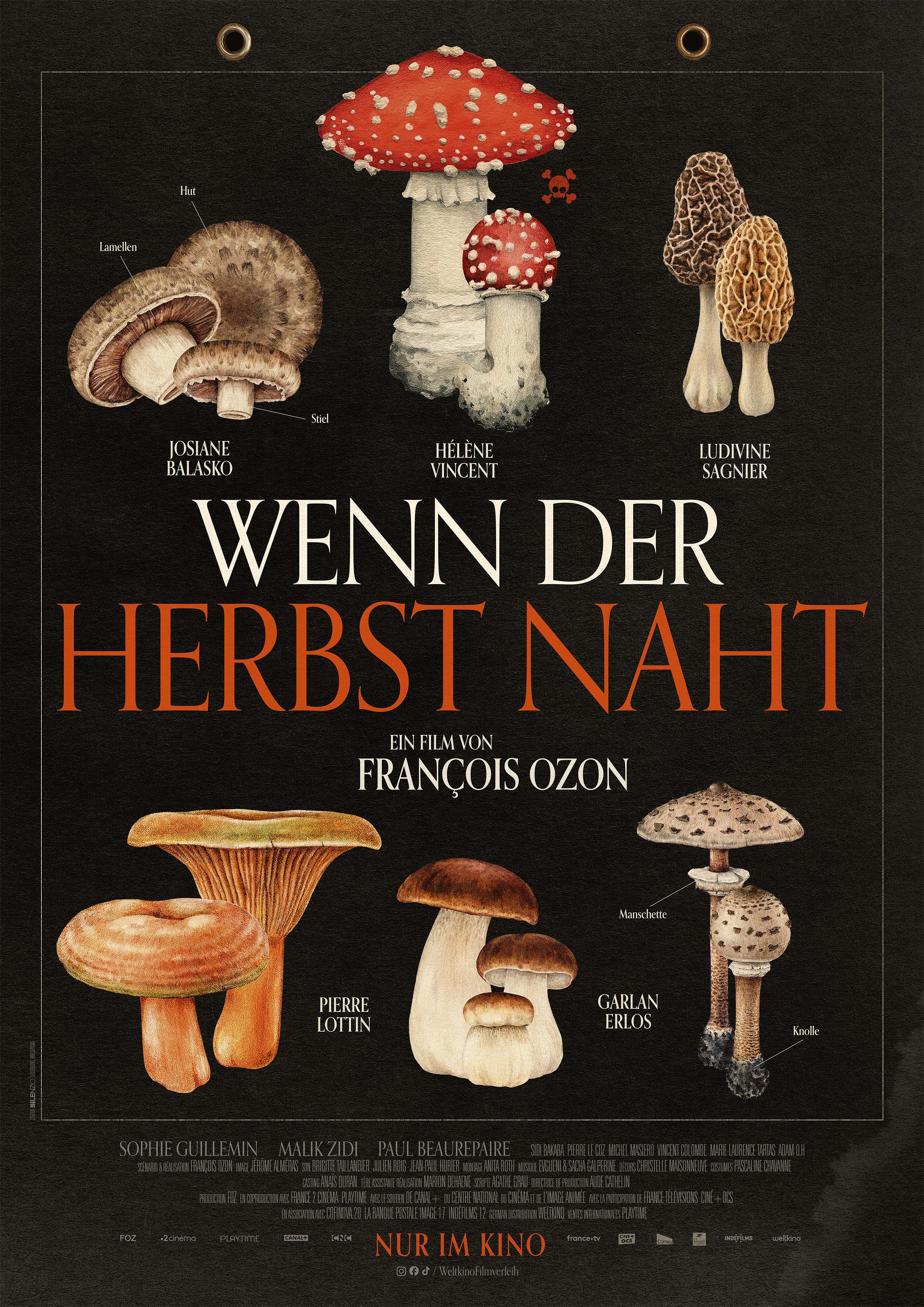 Filmplakat zu Wenn der Herbst naht