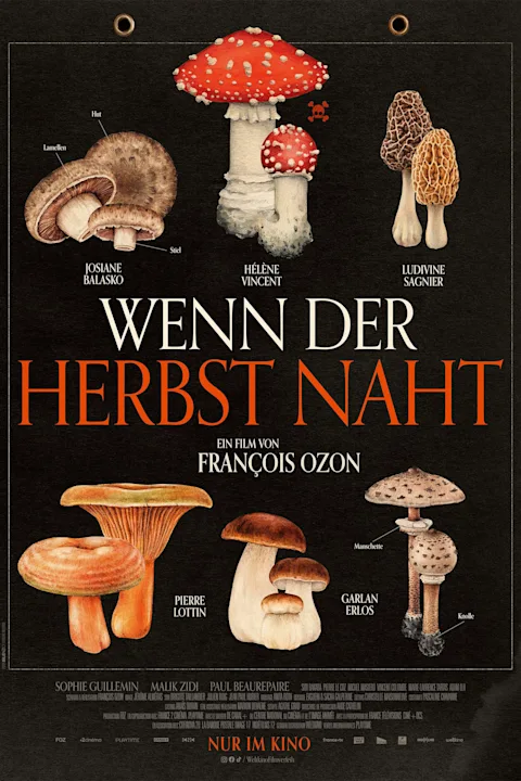 Filmplakat zu Wenn der Herbst naht