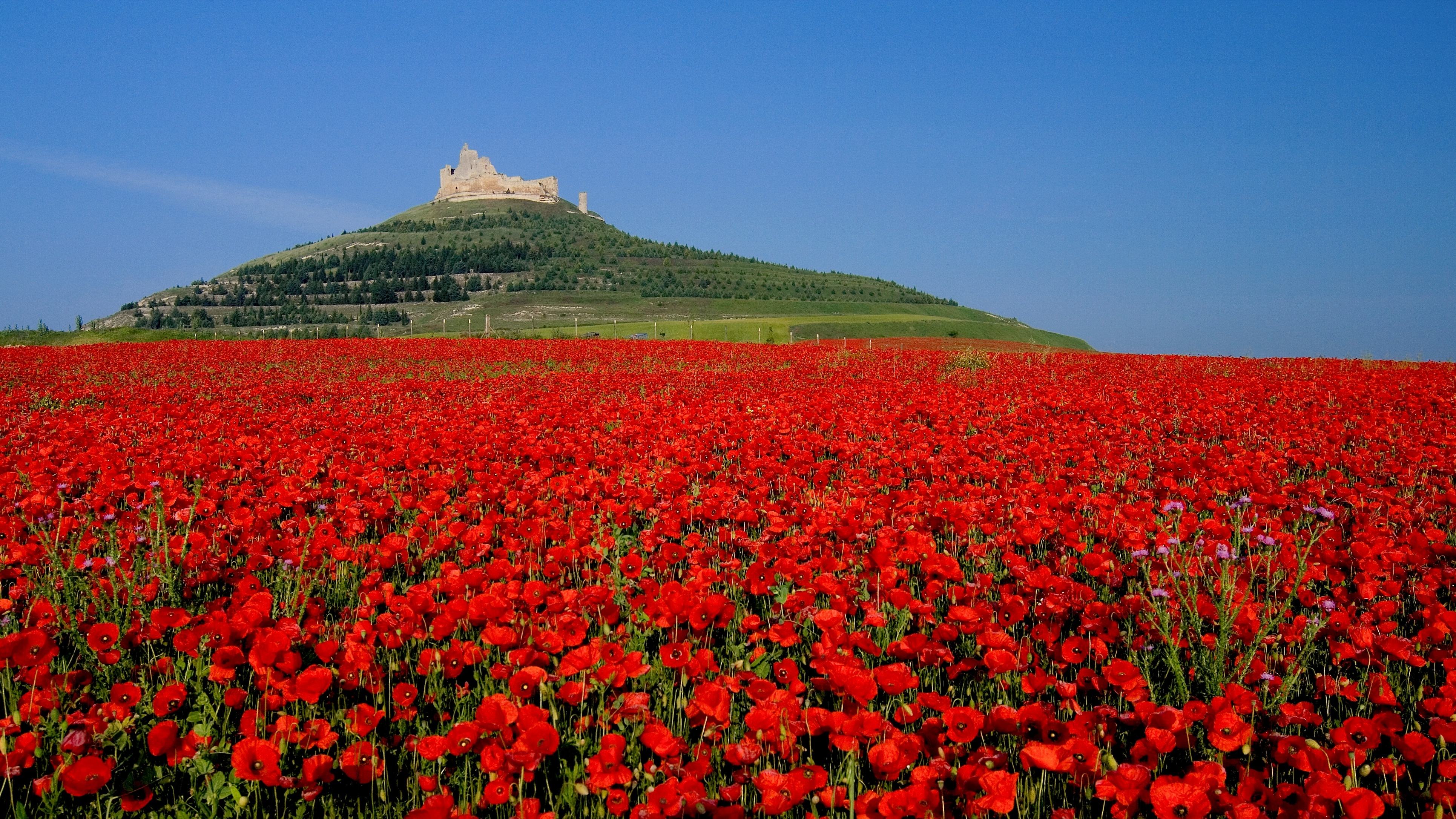 Szenenbild zu Jakobsweg ... die Seele atmen lassen