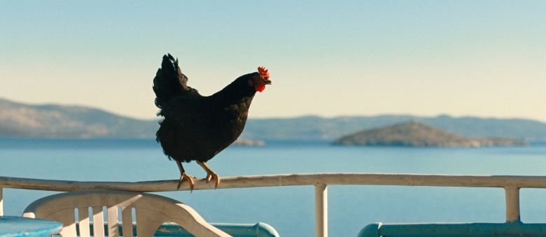 Szenenbild zu Lebensansichten eines Huhns