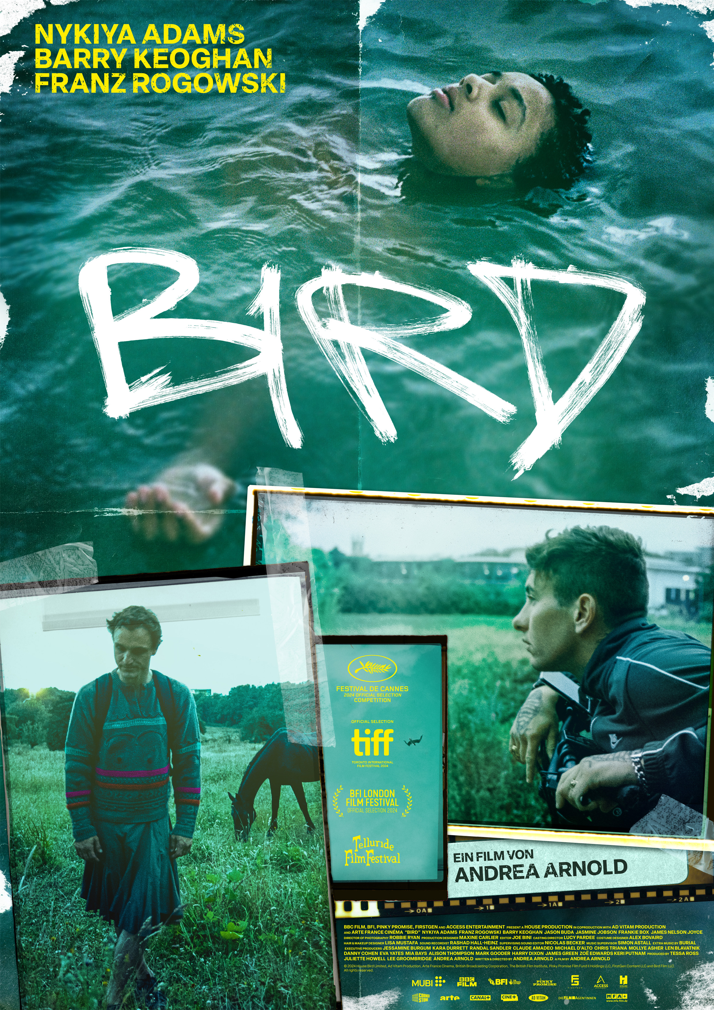 Filmplakat zu Bird