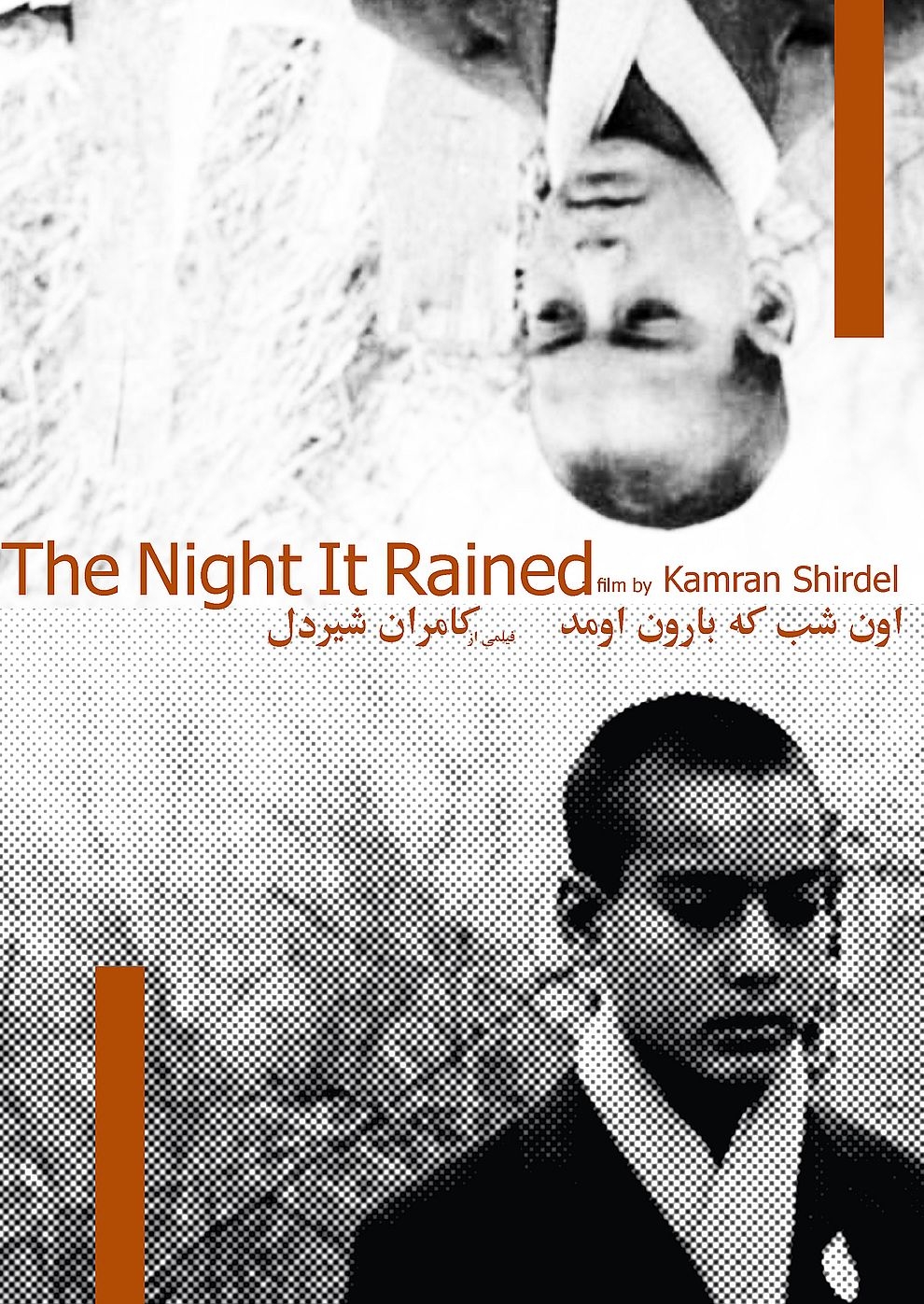 Filmplakat zu The Night It Rained