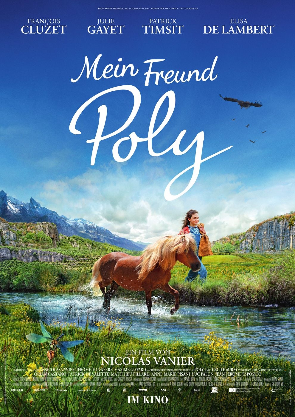 Filmplakat zu Mein Freund Poly