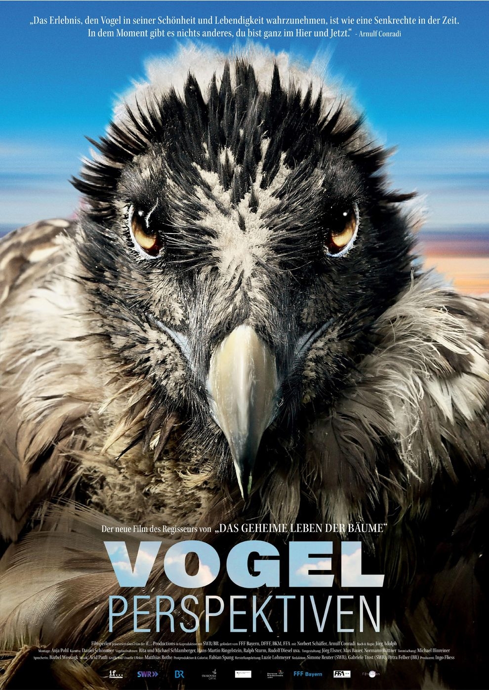 Filmplakat zu Vogelperspektiven