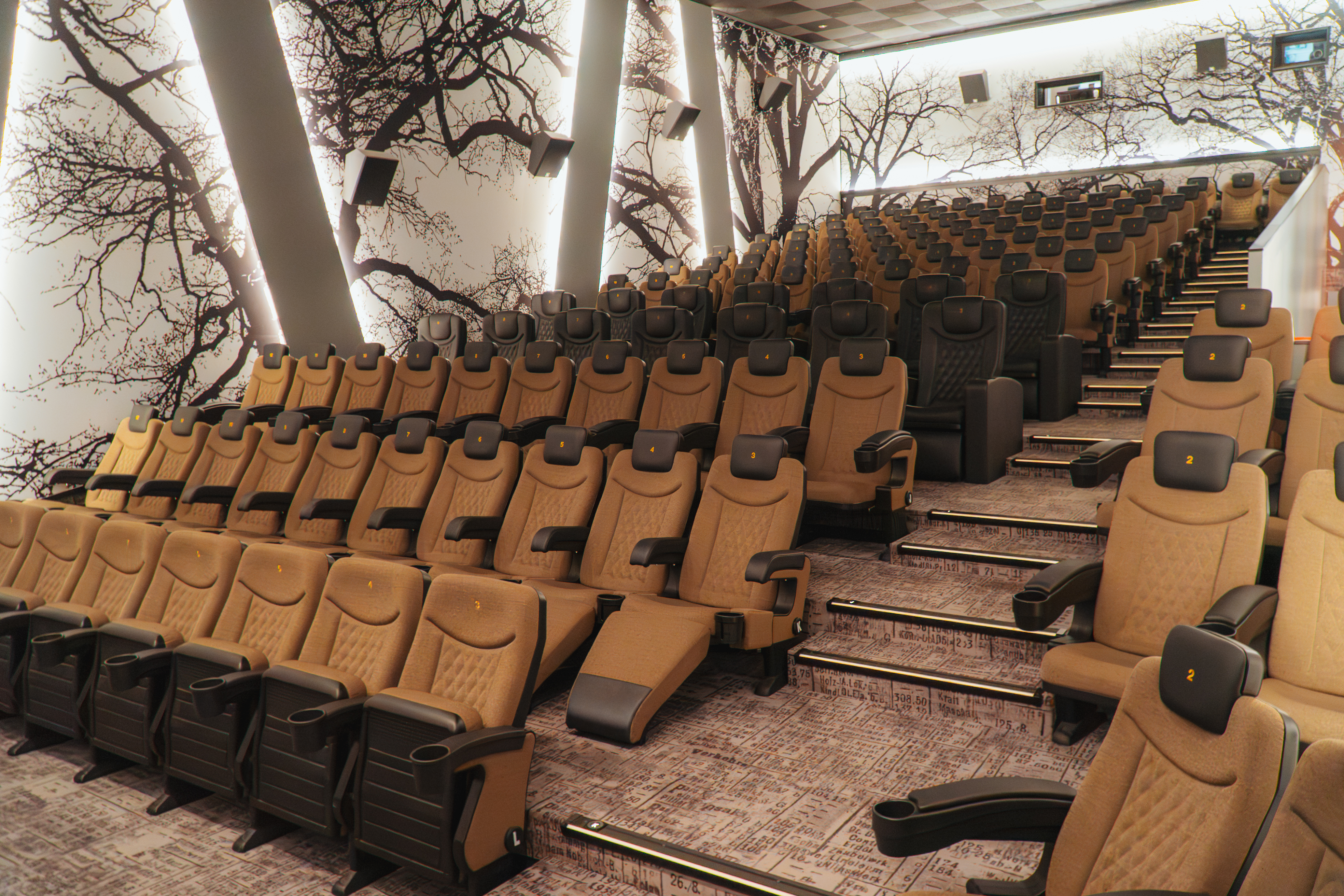 Bad Hersfeld Kinosaal Roxy