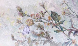 Szenenbild zu Shorts Attack 2026: Prima Klima