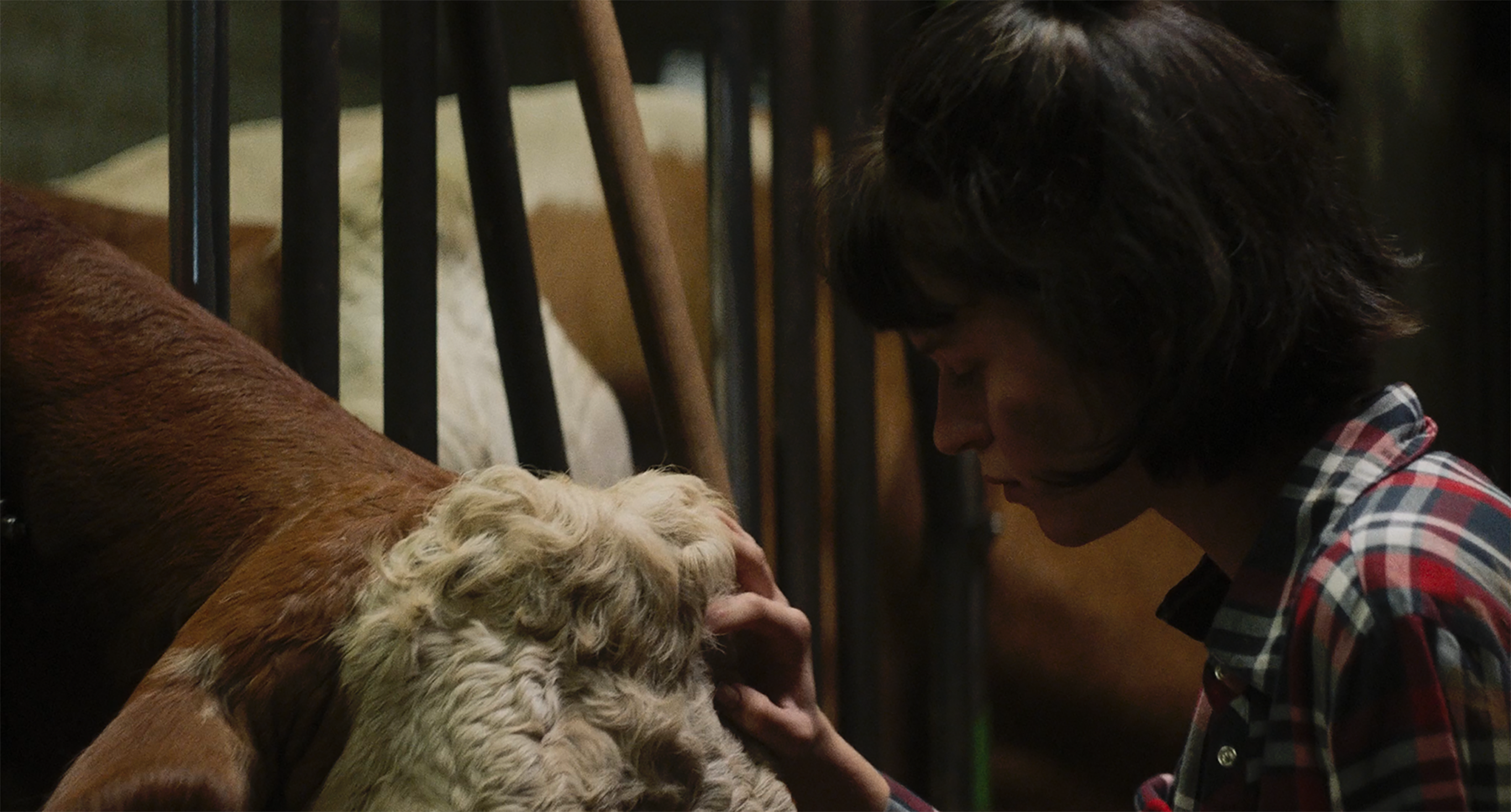 Szenenbild zu Viel Nebel im November