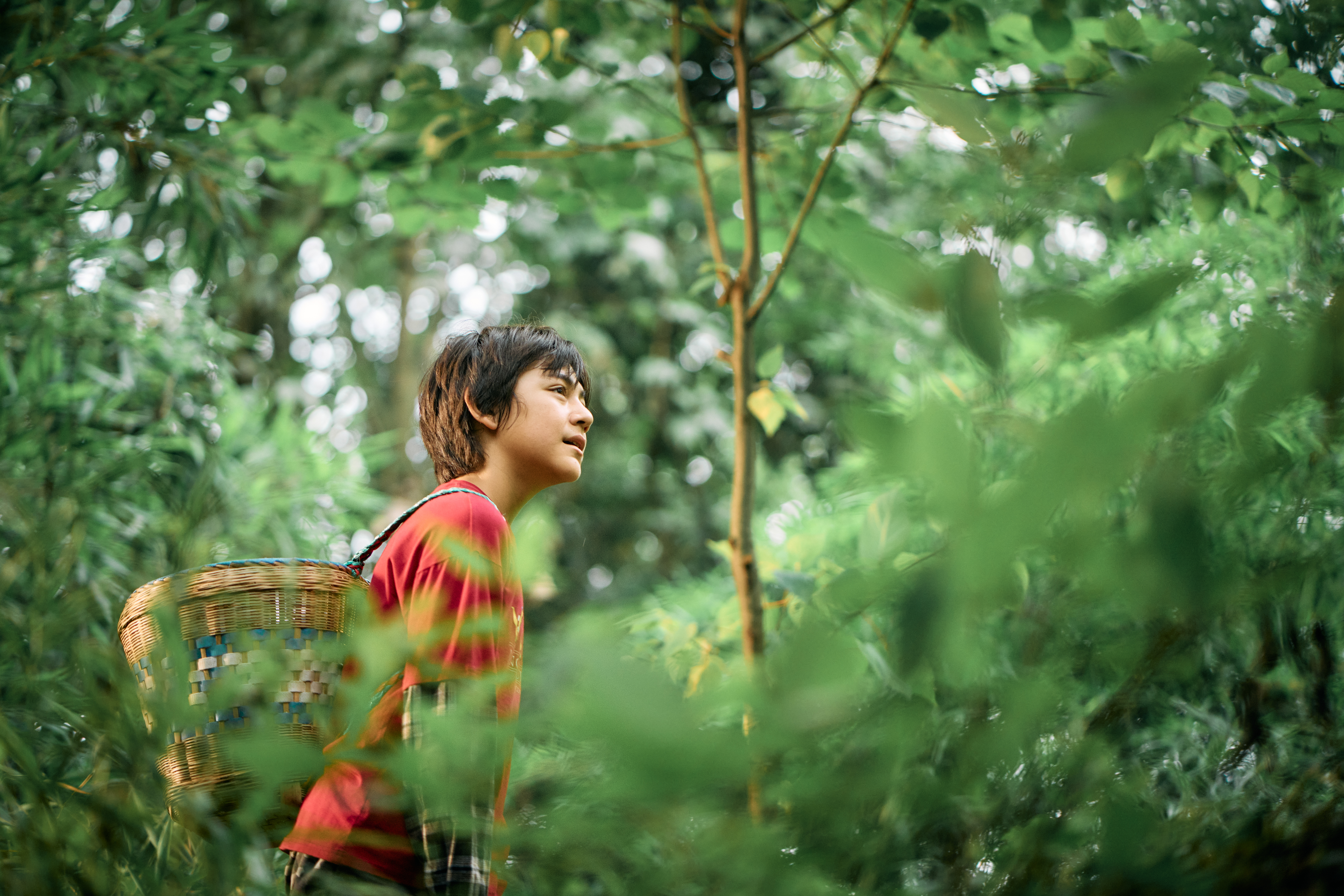 Szenenbild zu Moon, der Panda