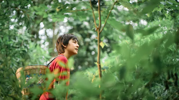 Szenenbild zu Moon, der Panda