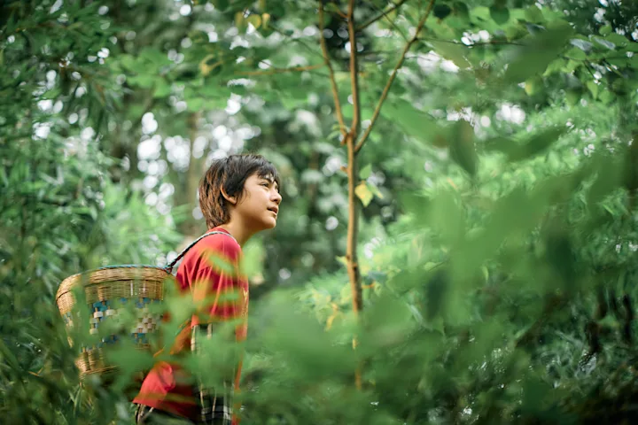 Szenenbild zu Moon, der Panda