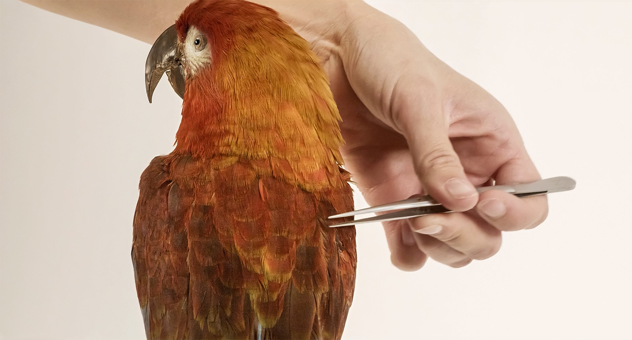 Szenenbild zu Archiv der Zukunft