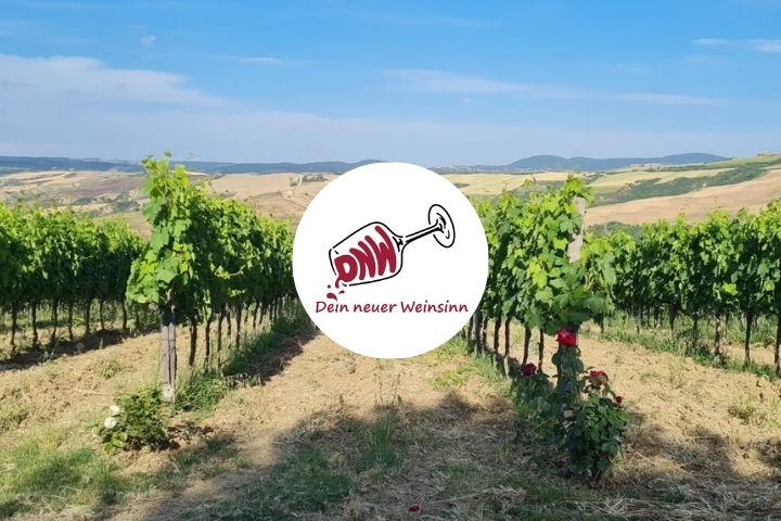 Dein neuer Weinsinn Plantage 