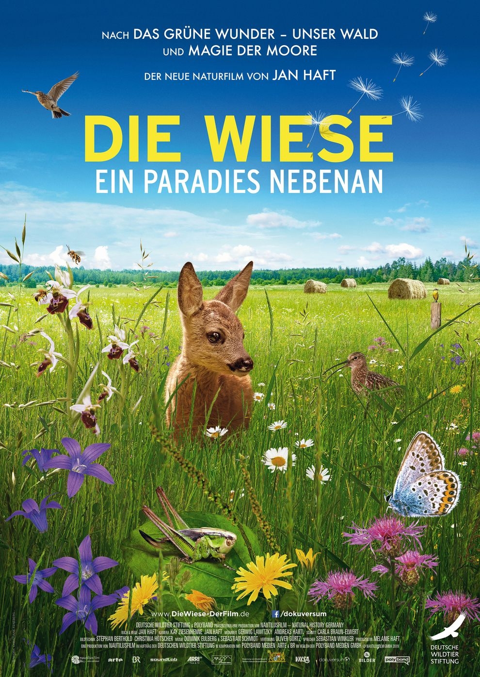 Filmplakat zu Die Wiese - Ein Paradies nebenan
