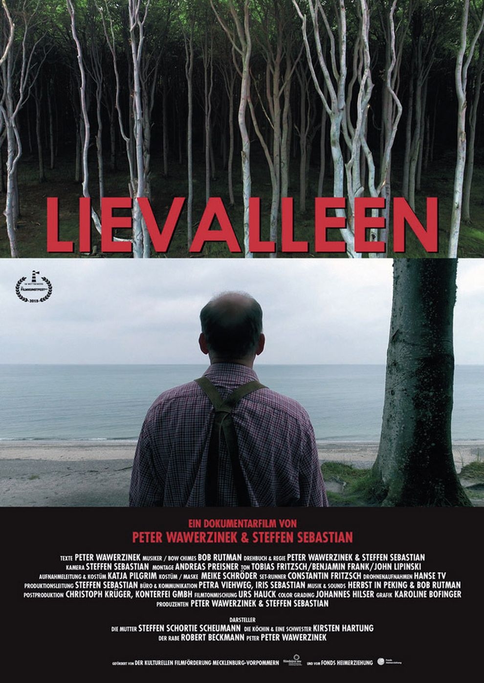 Filmplakat zu Lievalleen