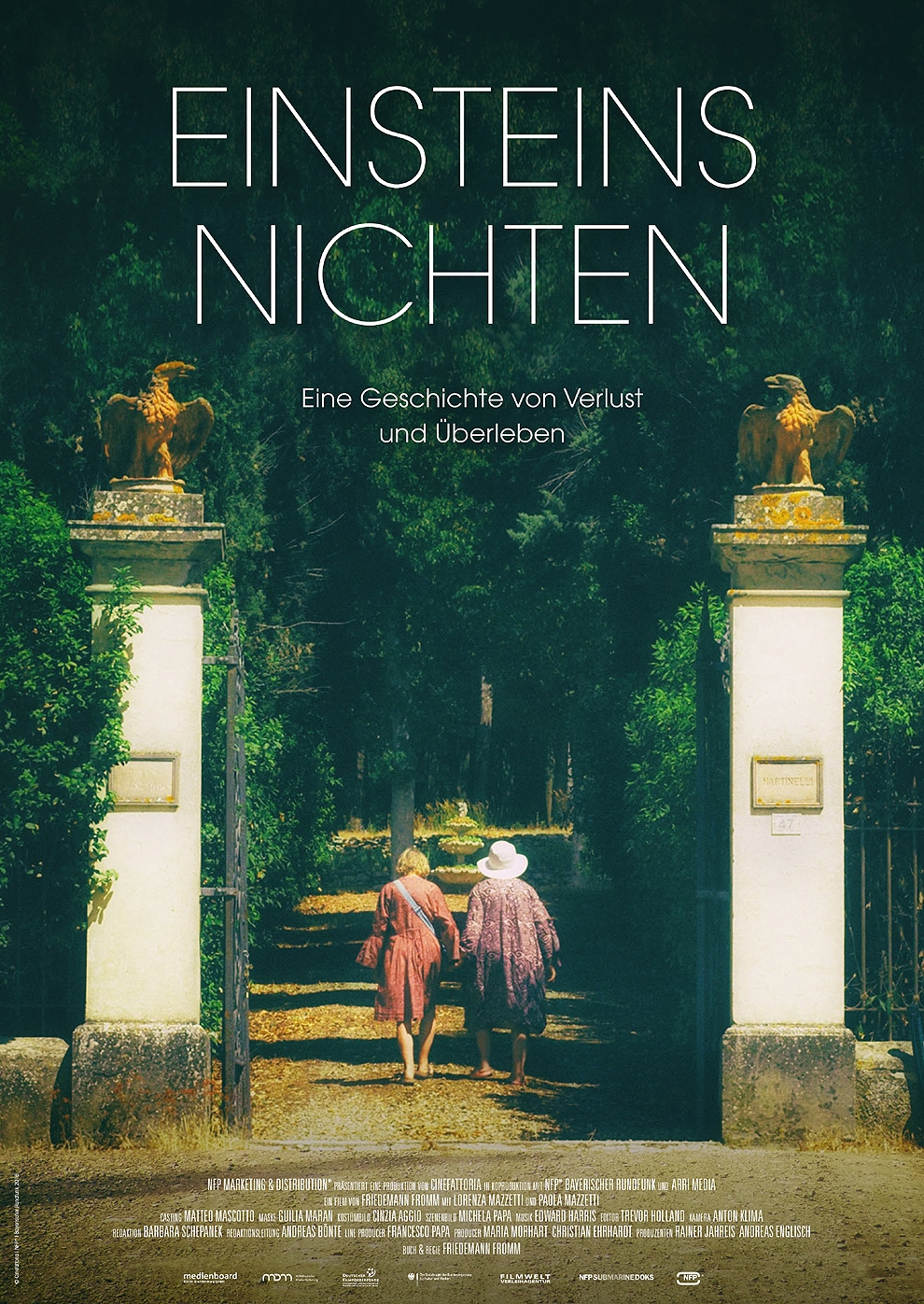 Filmplakat zu Einsteins Nichten