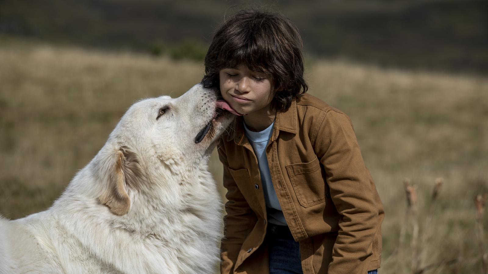 Szenenbild zu Belle & Sebastian - Ein Sommer voller Abenteuer