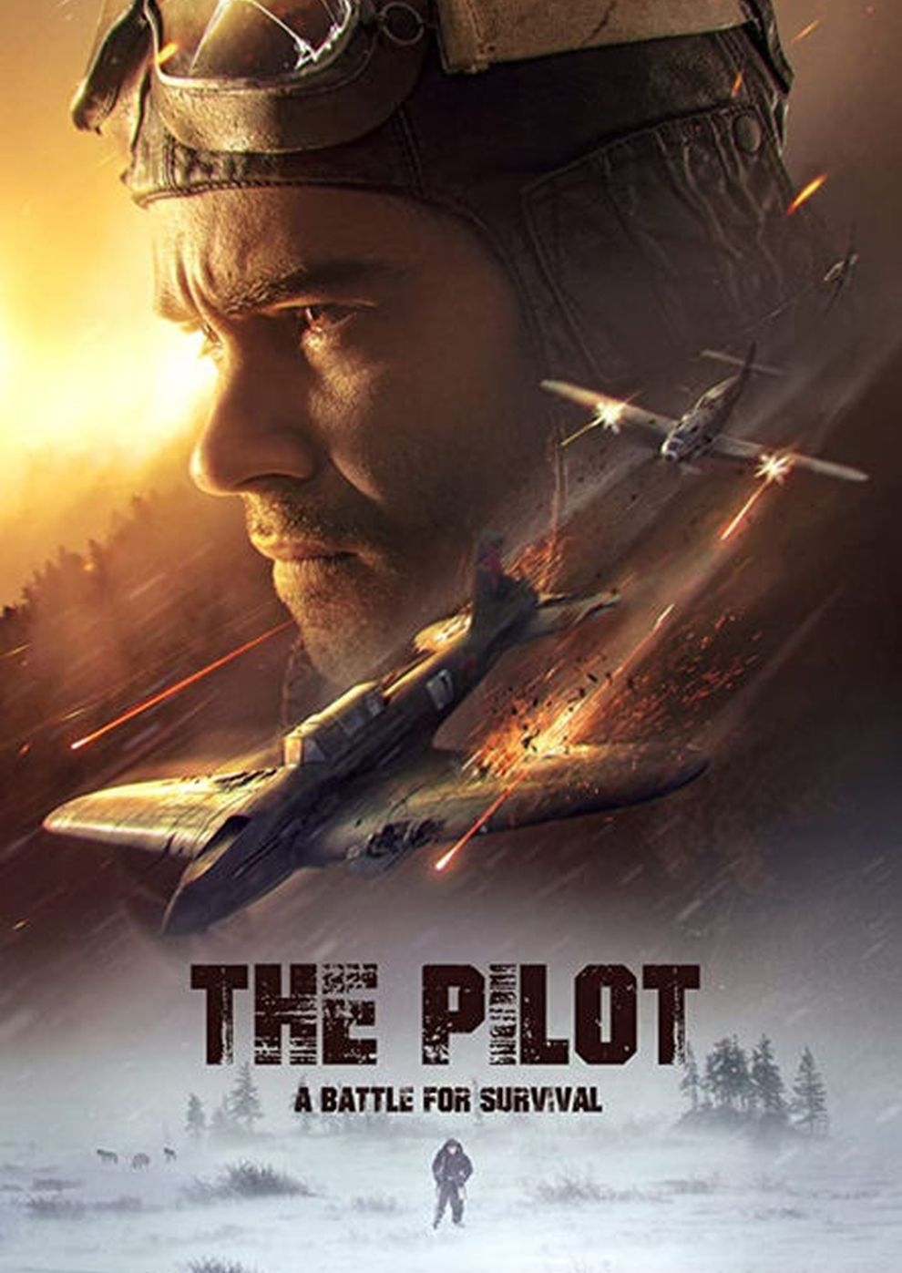 Filmplakat zu The Pilot - A Battle for Survival