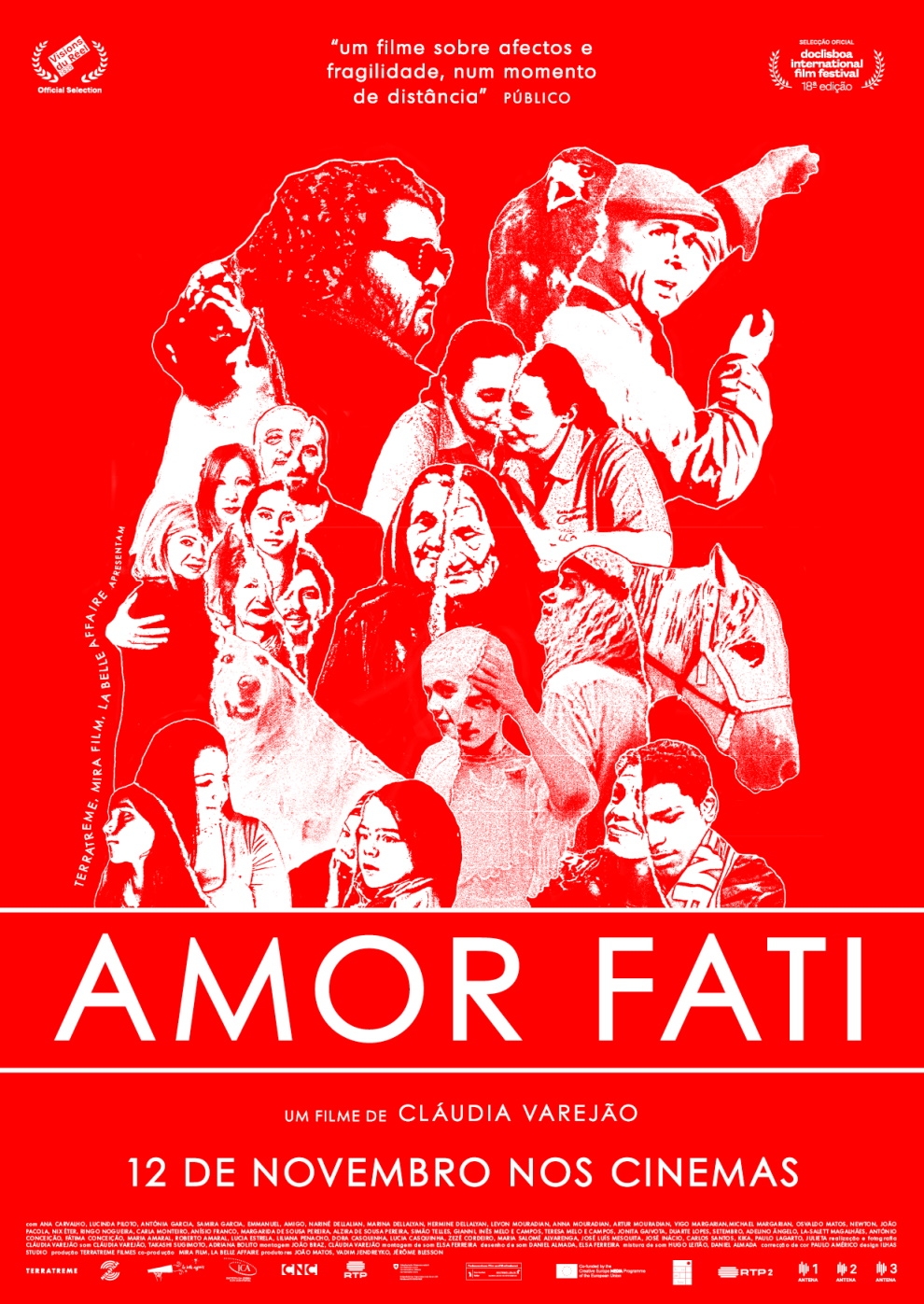 Filmplakat zu Amor Fati