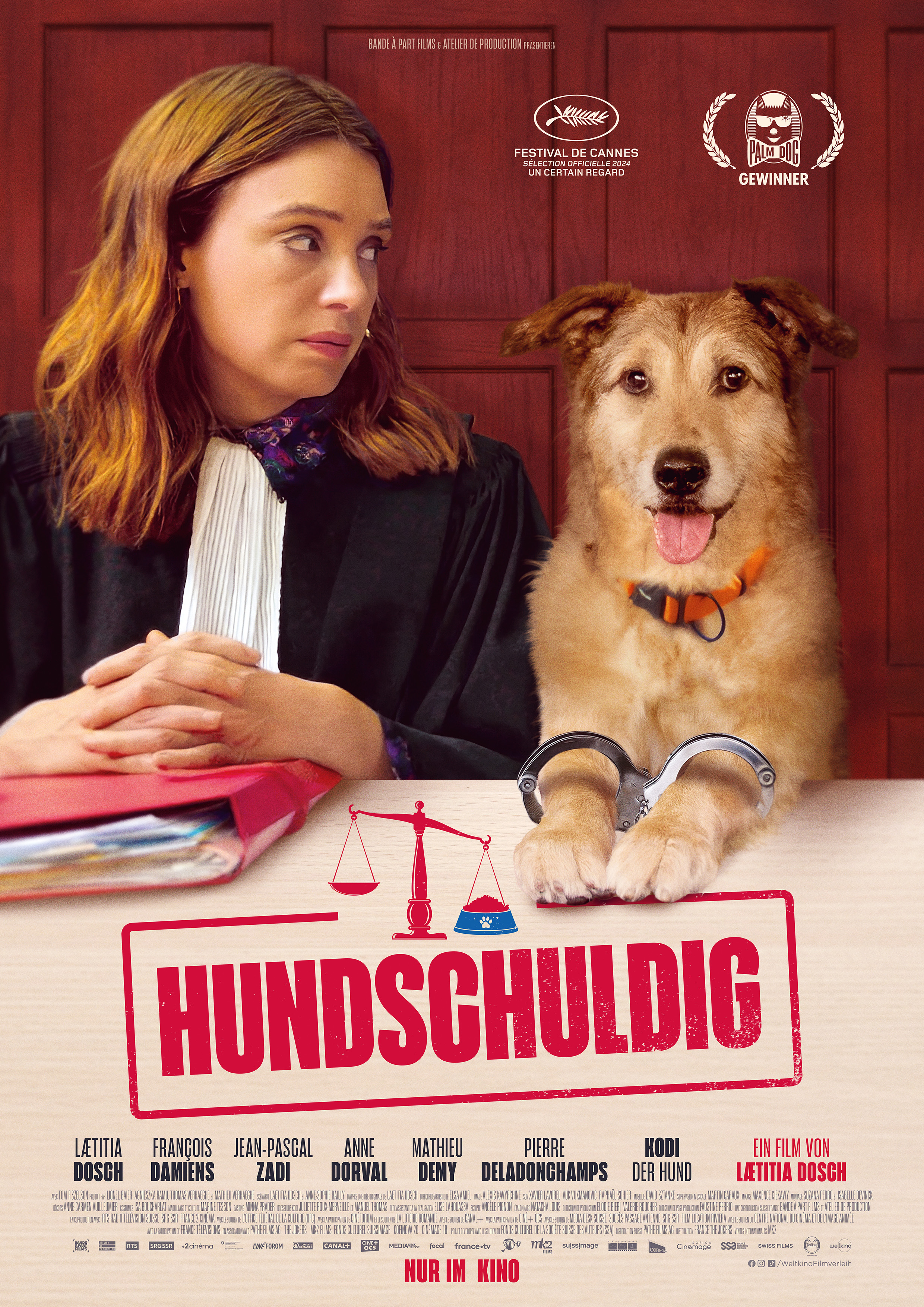 Filmplakat zu Hundschuldig