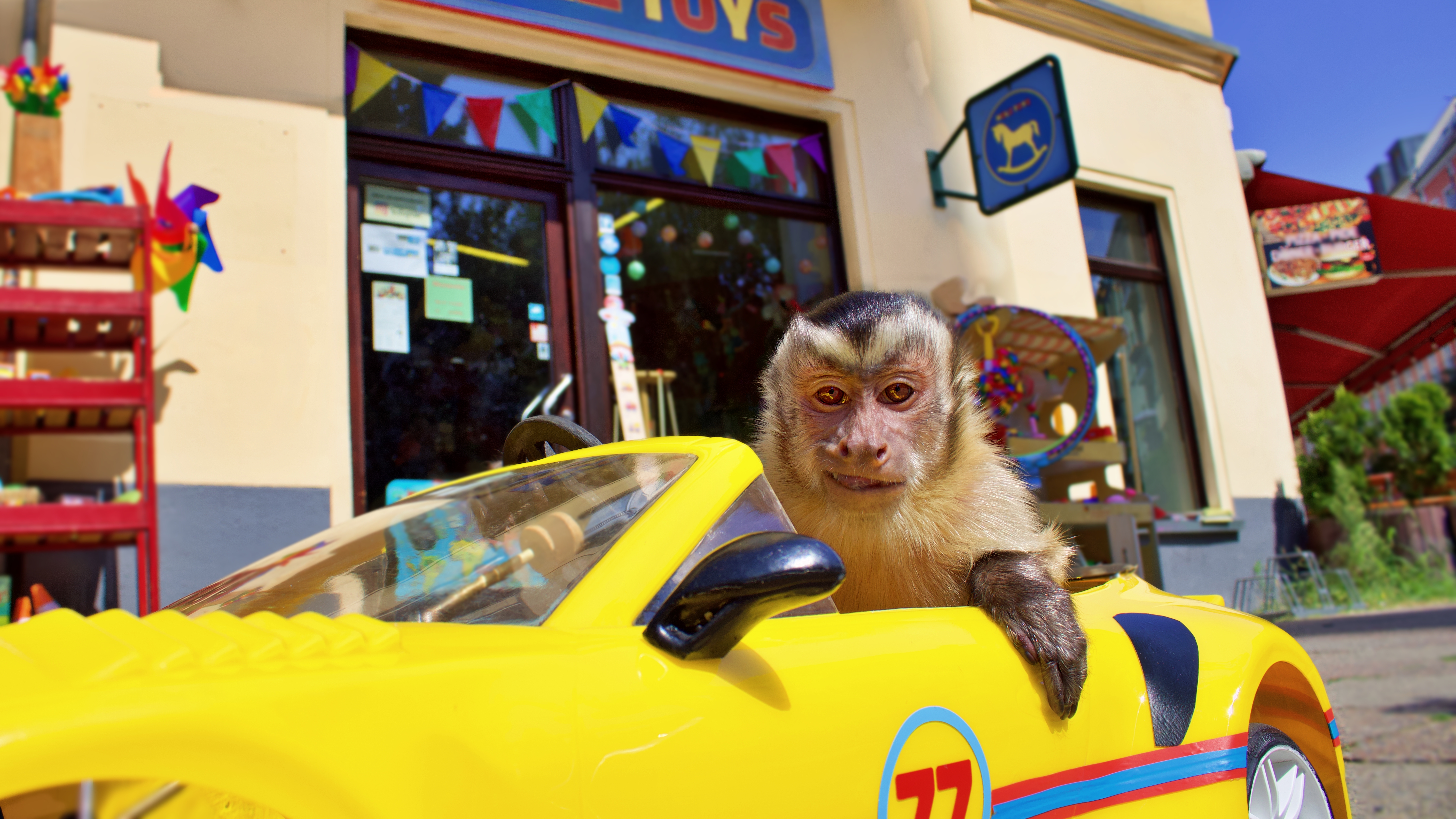 Szenenbild zu Akiko, der fliegende Affe