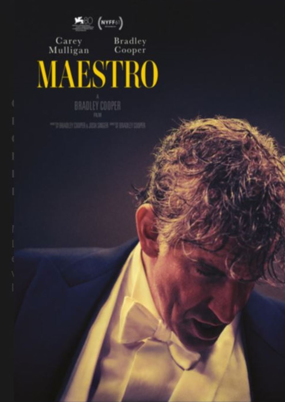 Filmplakat zu Maestro