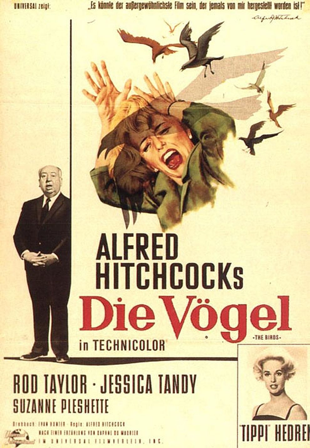 Filmplakat zu Die Vögel
