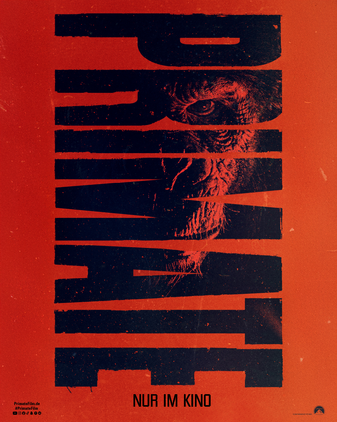 Filmplakat zu Primate