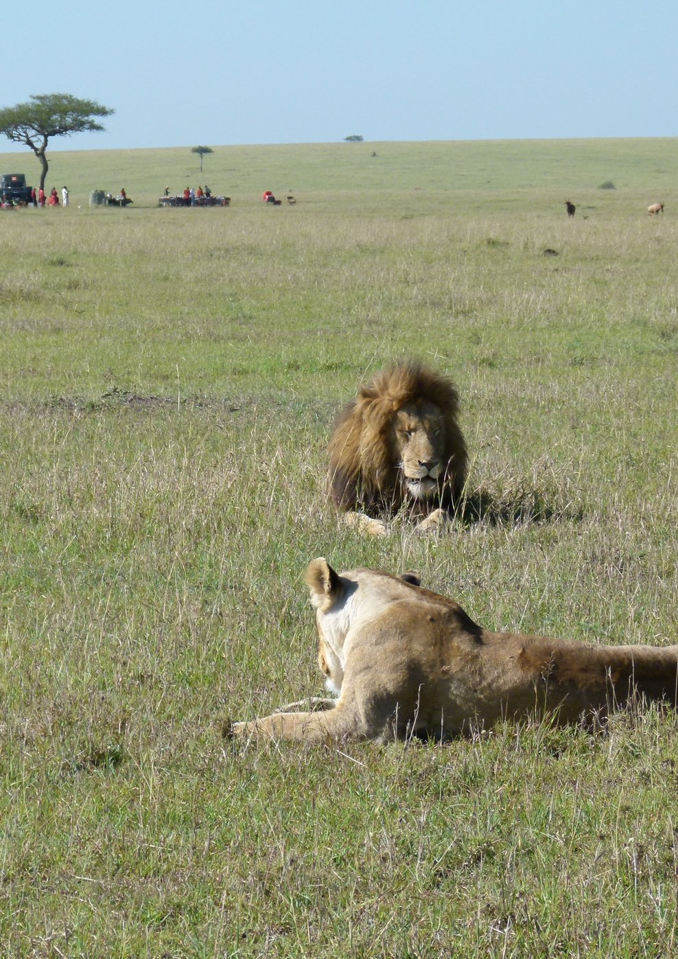 Filmplakat zu Kenia - Weite Savannen und weiße Strände