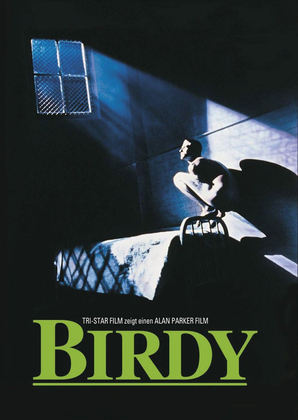 Filmplakat zu Birdy