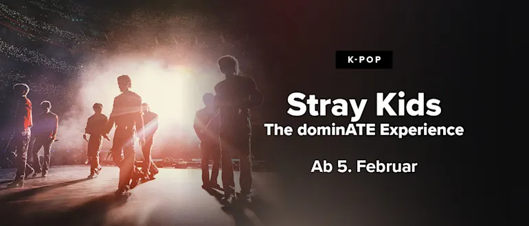 Stray Kids: The dominATE Experience