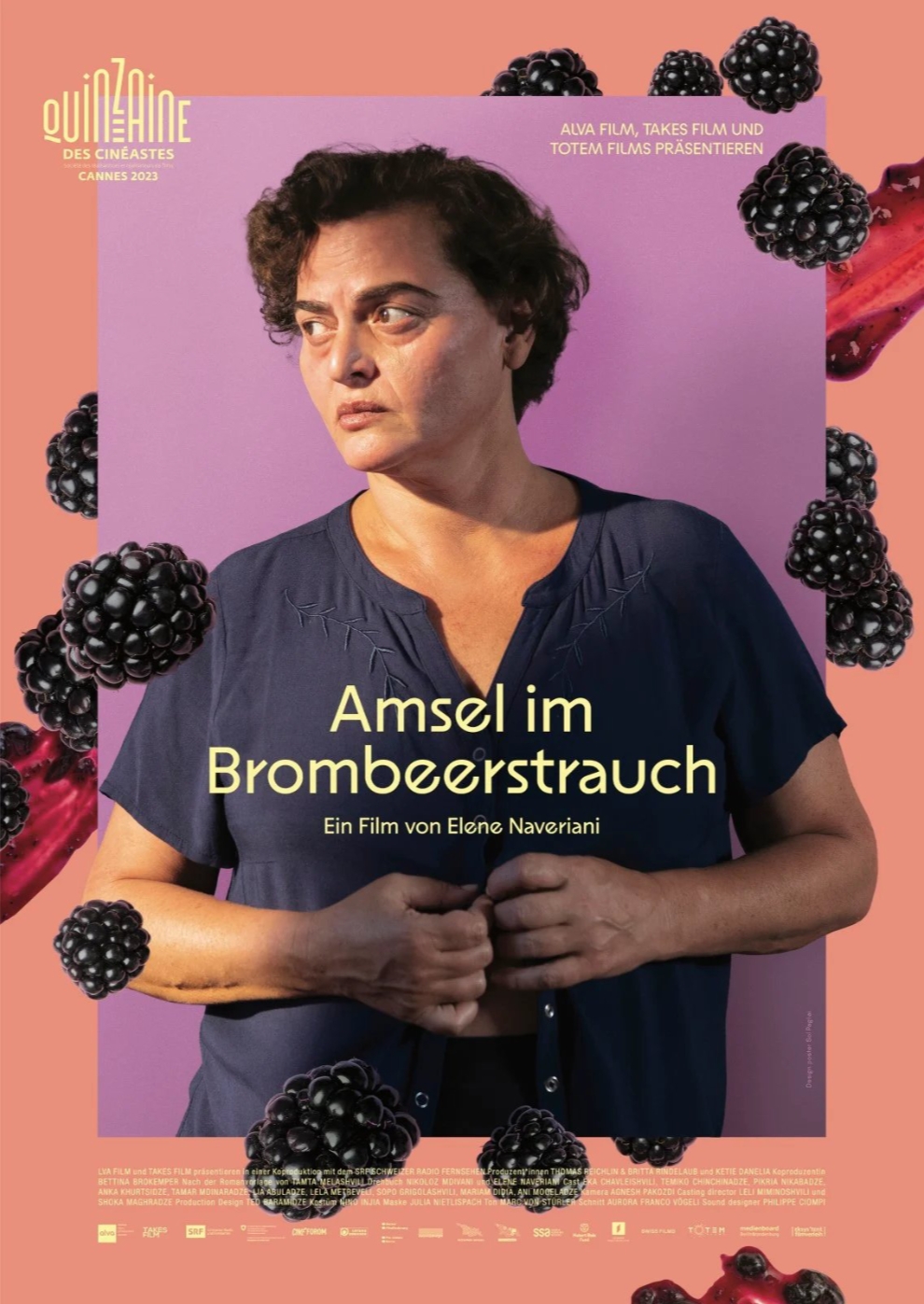 Filmplakat zu Amsel im Brombeerstrauch
