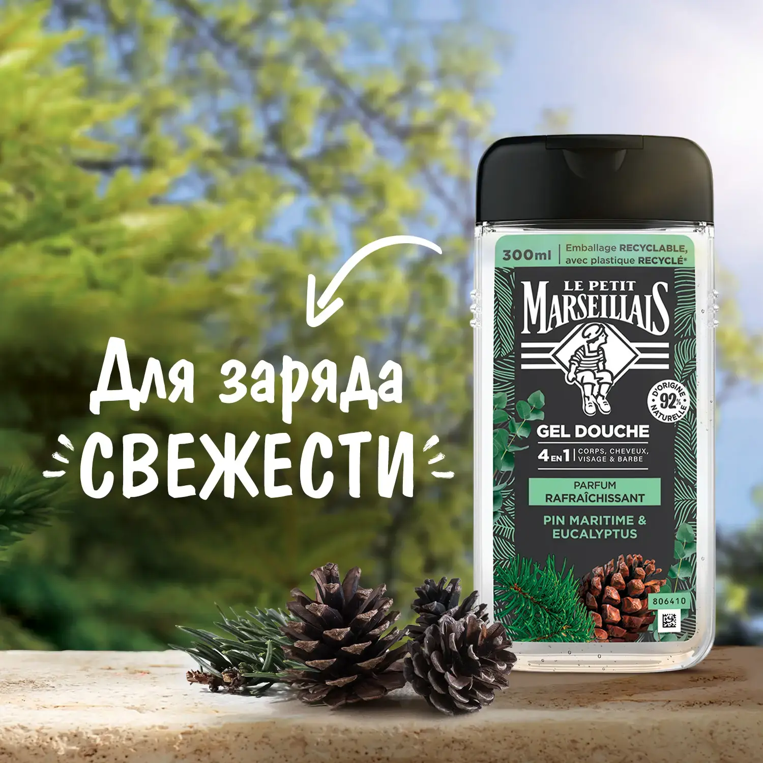 Упаковка Le Petit Marseillais® Гель-шампунь для мужчин «Сосна и Эвкалипт» 4 в 1, 300 мл