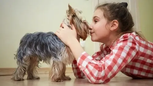 Бытовая аллергия