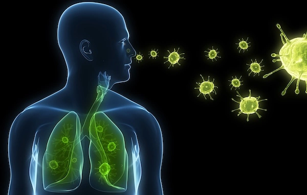 Mycoplasma pneumoniae Микоплазменная пневмония
