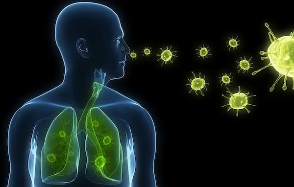 Mycoplasma pneumoniae Микоплазменная пневмония