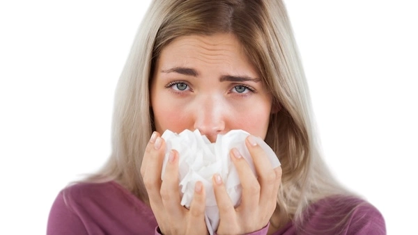 Жёлтые сопли при синусите у взрослого