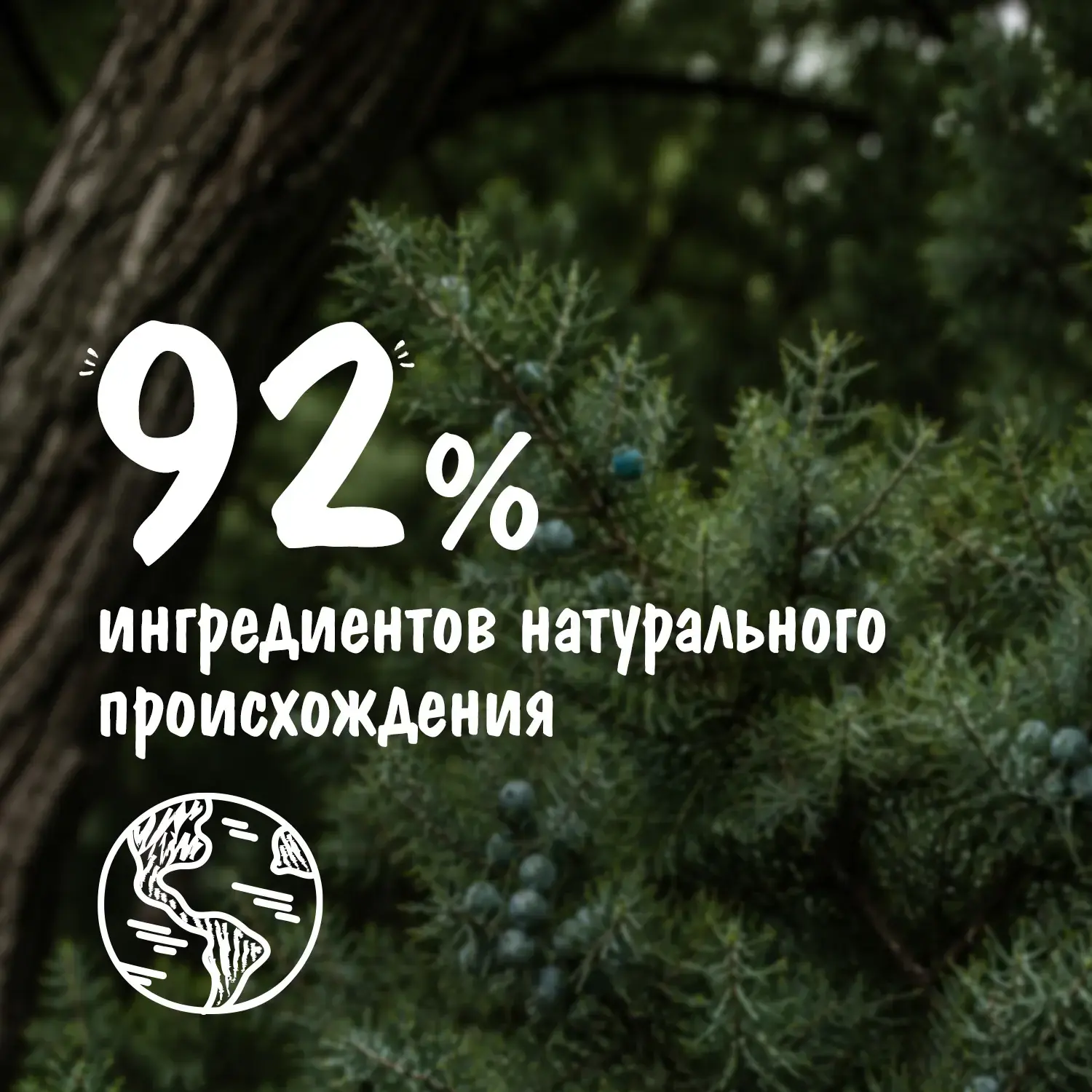 Le Petit Marseillais® Гель-шампунь для мужчин «Кедр и минералы» 4 в 1, 300 мл