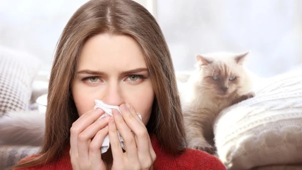 Девушка с носовым платком рядом с кошкой