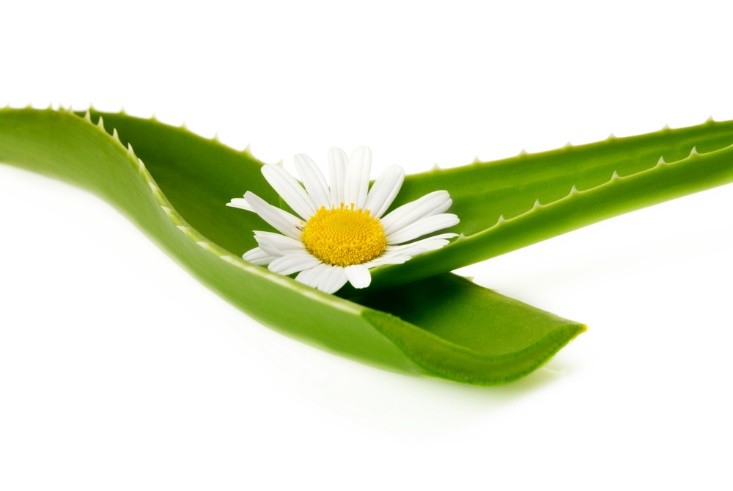 Пробки в миндалинах