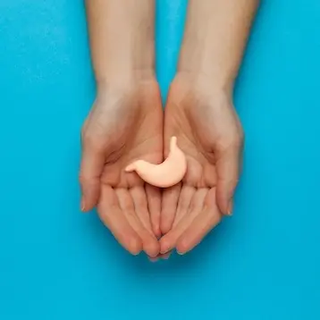 Маленький желудок в руках