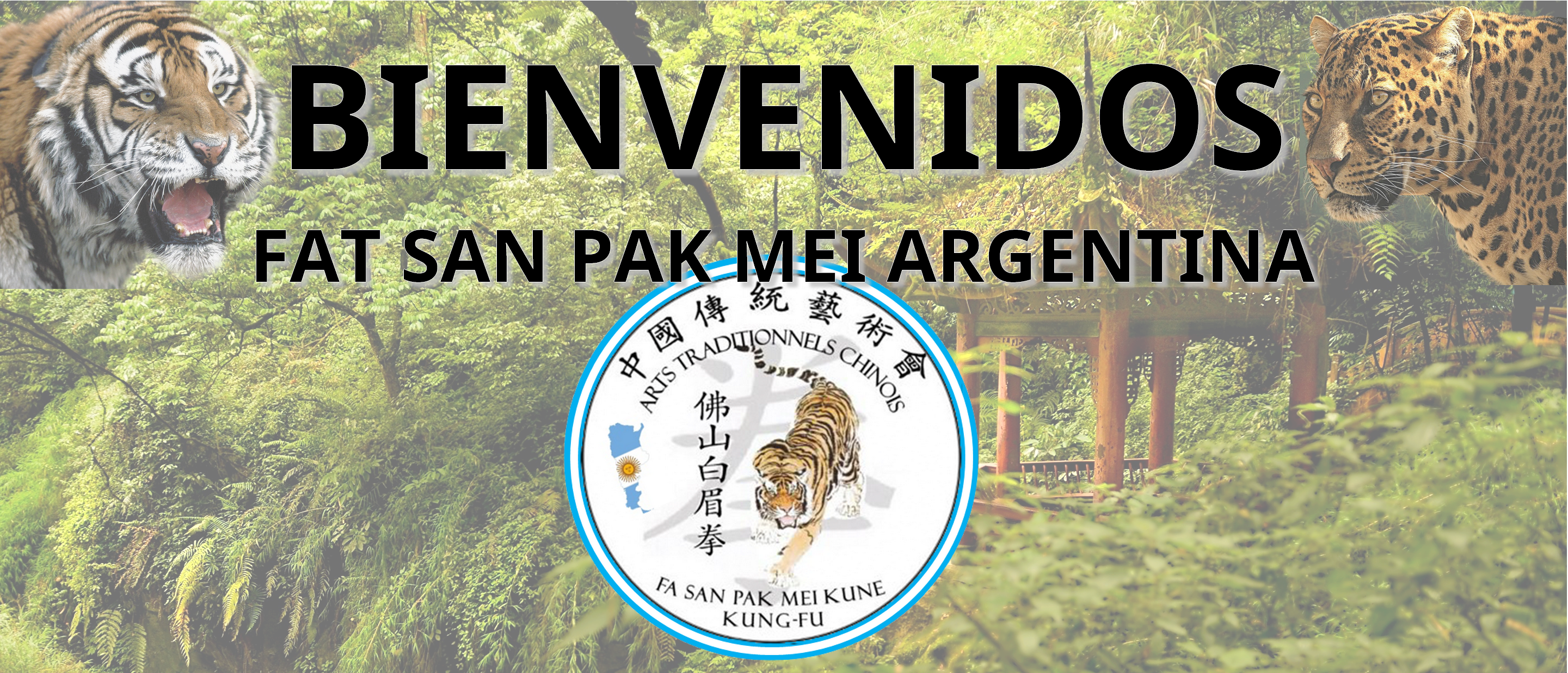 Presenentation image