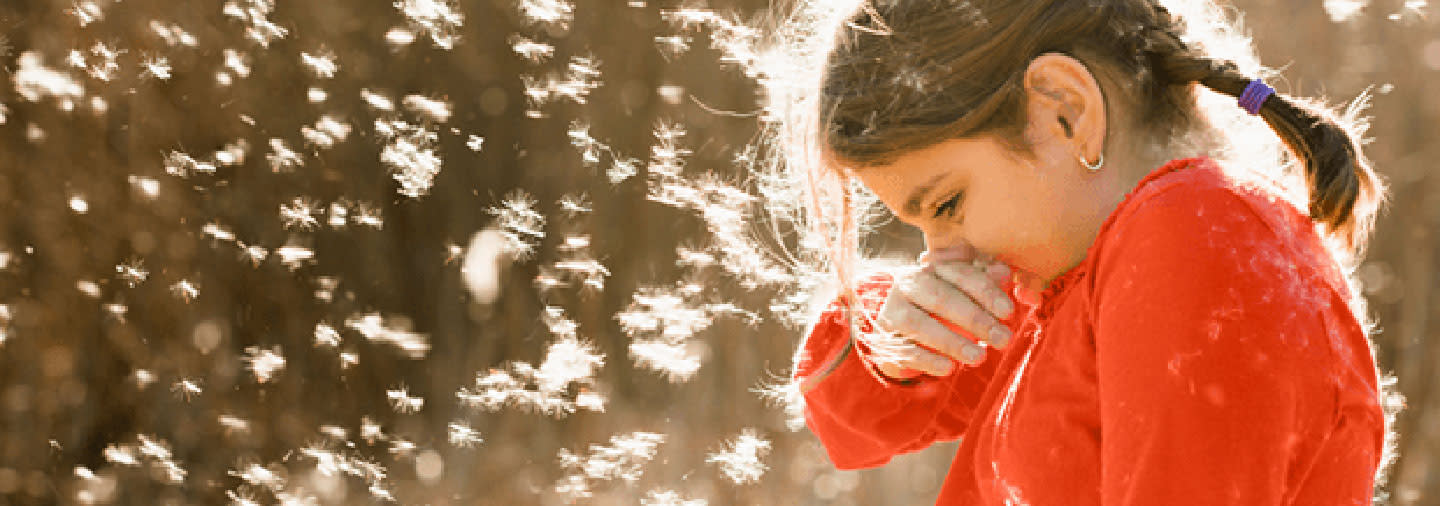 A little girl with braided hair sneezing