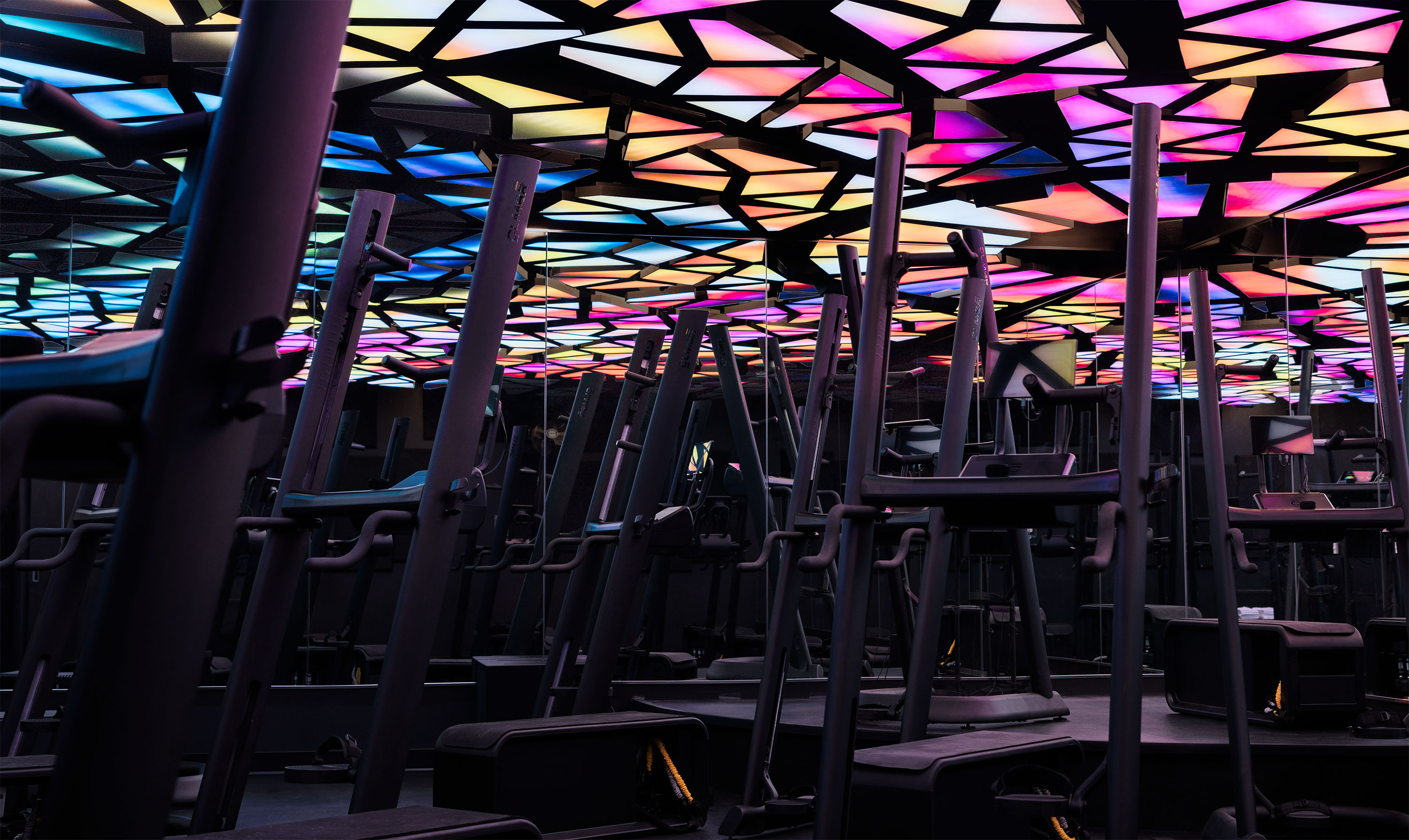 Cactus uses immersive lighting gym installations to boost workout