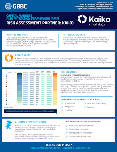 Risk Assessment Partner - Kaiko cover