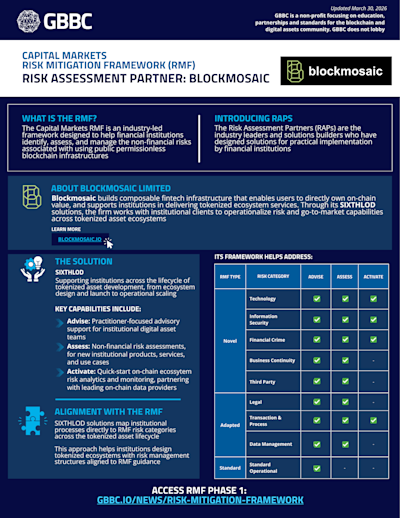 Risk Assessment Partner - Blockmosaic cover