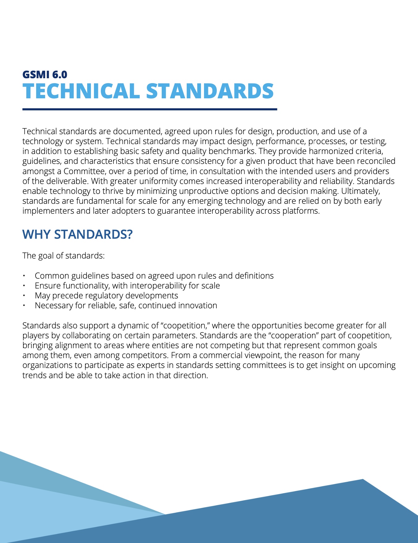 Cover of GSMI 6.0: Technical Standards Report
