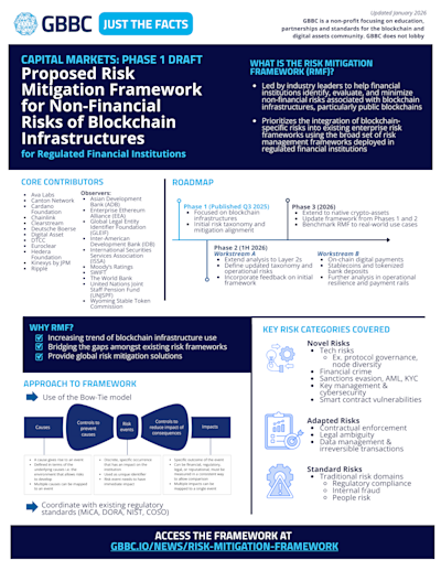 Capital Markets Risk Mitigation Framework - Phase 1 cover