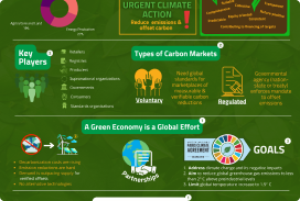 The Green Economy cover