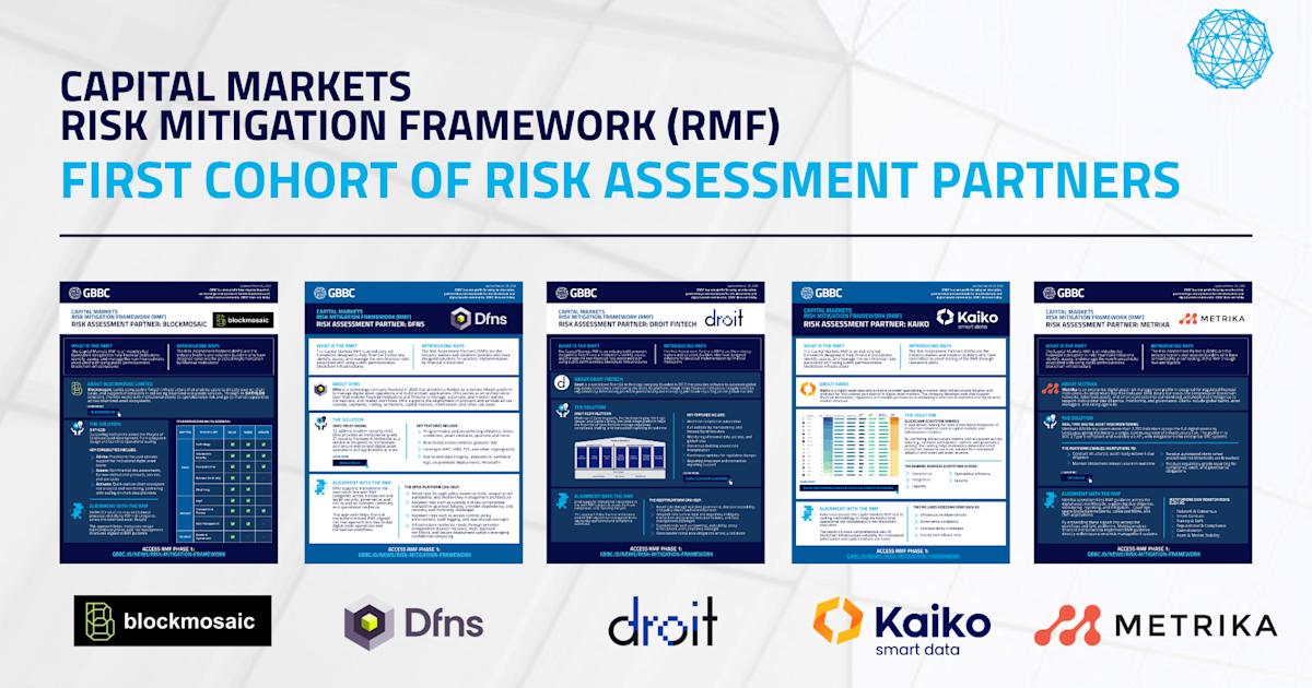 Introducing the First Cohort of Risk Assessment Partners (RAPs) for Capital Markets Risk Mitigation Framework (RMF)